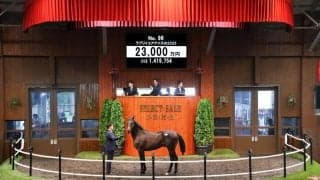 【セレクトセール2026】阪神JF2着馬のイクイノックス産駒に2億3000万円…ダノックスが落札