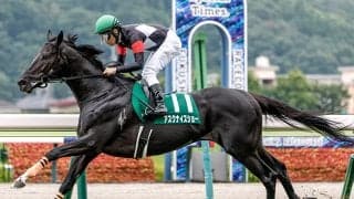 アスクナイスショーから紐解く シルバーステート産駒の優れた小回り適性