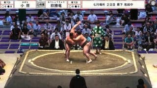 「奥様の悲鳴が…」「隣にいたらキツイ」大相撲、女性の叫び声にファン困惑「これは声援か？」