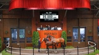 【セレクトセール2026】藤田晋氏がイクイノックス産駒を2億円で落札…仏G3馬の仔を獲得