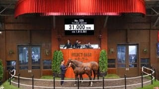 【セレクトセール2026】豪G1馬のイクイノックス産駒が3億1000万円…ダノックスが高額落札