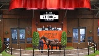 【セレクトセール2026】藤田晋氏、2億円超を連発…豪G1馬の仔を2億1000万円で落札