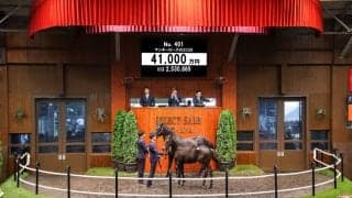 【セレクトセール2026】リバティアイランドの半弟が4億1000万円…エムズレーシングが超良血馬を落札