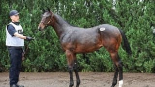 【セレクトセール2026】英G2馬×イクイノックスに1億3500万円…藤田晋氏が落札