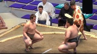 36年ぶり“英国出身力士”が「大化けしそう」 強敵に電光石火の秒殺劇「風格ある」「男前」爽やかなイケメンぶりにも熱視線