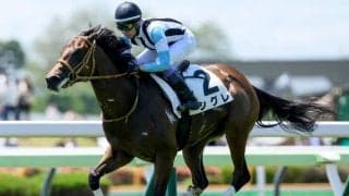 【函館2歳S出走馬・騎手確定】シグレ＆武豊騎手、ロンドンガーズ＆北村友一騎手など13頭