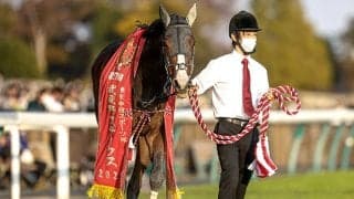 「2代目」フェリシタル 初代が果たせなかったデビュー勝ちなるか 