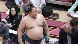 佐田の海が行司軍配差し違えで２勝目　あきらめない相撲は物言いが付きがち