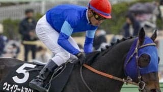 【マリーンS】田中博康厩舎の大物候補 ウェイワードアクトが待望の復帰戦だ