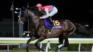 【盛岡・マーキュリーC枠順】メイセイオペラの背中を追う14頭集結 大井所属のドゥラエレーデは1枠1番