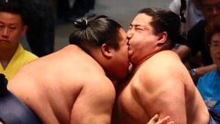 ５連勝中の22歳若ノ勝が右ひざ負傷か　車いす退場にファン悲鳴「大きいケガだけはやめて」