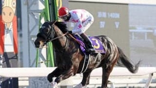 【東海S想定馬・騎手】マテンロウコマンド、ドンインザムードなど14頭