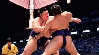 獅司６連勝で単独トップ　伯乃富士が豊昇龍から金星、若ノ勝は負傷　安青錦ら９人が１敗で並ぶ