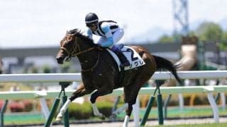 5000勝達成の武豊、今週は函館で12鞍…函館2歳Sはシグレと重賞挑戦