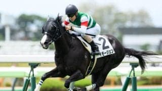 函館2歳S前におさらい 新種牡馬産駒の勝ち上がり状況