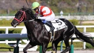 「熊本の星」ヨカヨカの初仔 ヨカオウが初ダートで2勝目なるか