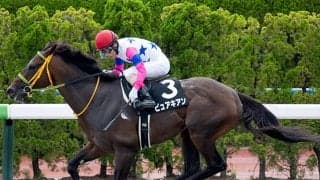 マリーンSは人気馬が堅実 年齢と馬体重に注目だ