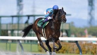 ヤマニンウルスが引退…種牡馬入りの予定