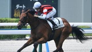 【小倉5R新馬戦結果】ビッグアーサー産駒ウインガラハッドが断然人気に応え逃げ切りV