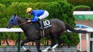 【マリーンS結果】ウェイワードアクトが人気に応えて快勝