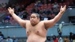 二子山部屋の元十両２人が勝ち越し　生田目は全勝同士の旭富士を意識「やりたいです」