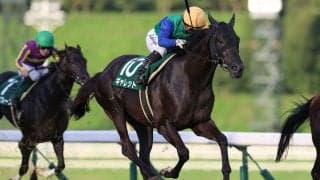 【盛岡・いしがきマイラーズ展望】メイテソーロ重賞初Vのチャンス…盛岡芝巧者ギャレットも反撃へ
