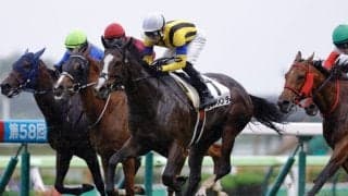 【函館12R】丹内祐次騎手が土曜3勝…ラミアメンテVで函館リーディング獲得へ前進