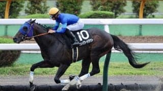 【マリーンS】ウェイワードアクトがオープン3勝目…逃げ切りで力の違いを見せつける