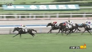 「ウオッカの末脚を彷彿」“エモい血統”の期待馬が2戦目で豪快V！ 見事な差し切り勝ちにファン感慨「夢がある」