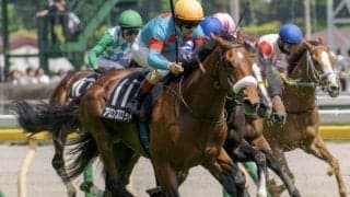 名牝の産駒が激突！ アロンズロッド×クラヴァンズ×バードウォッチャーに要注目