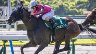 小倉記念は新興勢力に要注意 牝馬の活躍にも注目だ