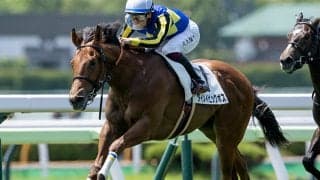 【函館2歳S予想】2歳最初のJRA重賞 傾向つかみにくい芝1200m舞台