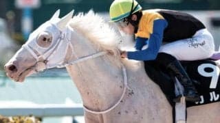 【宮崎S】半姉はソダシ＆ママコチャ 白毛のカルパがオープン昇級なるか
