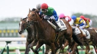 【函館5R新馬戦結果】8番人気テンカタイヘイが差し切り勝ち トーセンレーヴ産駒
