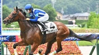 【福島5R新馬戦結果】ハービンジャー産駒グランオギュールが断然人気に応えてV