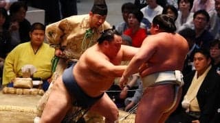 玉鷲が５勝目　好調要因は「ケアとストレッチ」猛暑の名古屋で報道陣にも体調気遣う