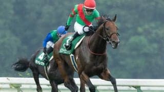 【盛岡・いしがきマイラーズ結果】JRAから移籍のモズマーヴェリックが快勝