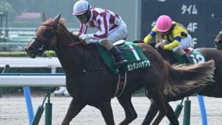 【小倉記念結果】格上挑戦の10番人気ゼンダンハヤブサがV ジョバンニは2着