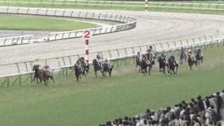 「最強に可愛い」“しっぽの色”に注目…新馬戦快勝の牝馬、希少かつ美しい“ルックス”も話題に「めっちゃ綺麗」「人気出そう」