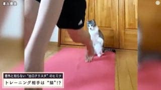 美人アスリート、“愛猫”と前代未聞のトレーニング動画が話題 あまりの驚きと可愛さに思わず二度見必至 「この猫可愛すぎ」「これはバズりますね」