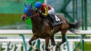 坂井瑠星騎手が16勝で福島リーディング獲得…戸崎圭太騎手との頂上決戦制す