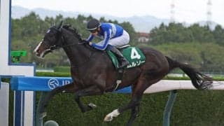 【盛岡・マーキュリーカップ】充実ムルソーが重賞連勝へ…ギュルヴィ、テスティモーネら新勢力も台頭