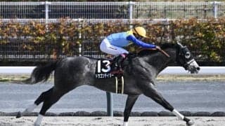 【東海S見どころ】連勝街道まっしぐらのドラゴンテイラー