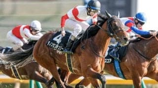 【関屋記念想定騎手】ダノンセンチュリーは戸崎圭太騎手、アンパドゥは岩田望来騎手