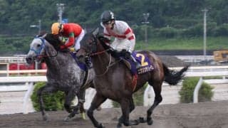 【高知・トレノ賞】ニクソンテソーロが鮮烈差し切り！約1年4カ月ぶりの重賞Vで復活アピール