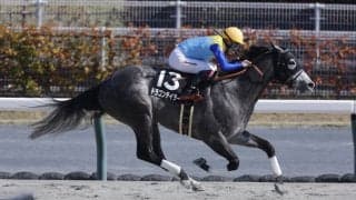 【東海S登録馬】4連勝中ドラゴンテイラーなど14頭