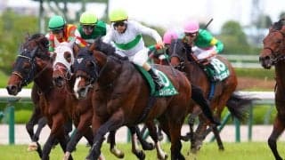 【関屋記念登録馬】エルトンバローズなど14頭