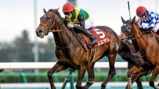 【先週のJRA抹消馬】23年ニュージーランドT覇者エエヤン、ダート重賞2勝のヤマニンウルスなど