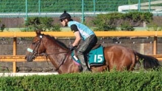 ホープフルS3着馬の半弟サンライズジャポネ 札幌芝1800mで初陣/関西馬メイクデビュー情報