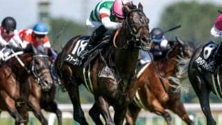 【AI予想・関屋記念】前走で重賞に出走していた馬に良績が集中！ 条件替わりで一変に期待できそうな人工知能の本命候補